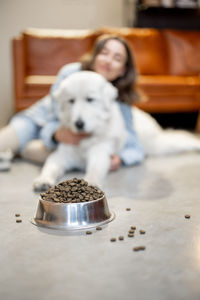 Dog on floor at home