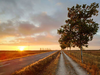 Road amidst trees on field against sky at sunset