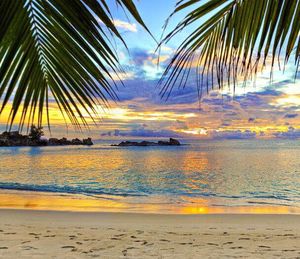 Scenic view of sea at sunset