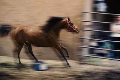 Blurred motion of blurred motion