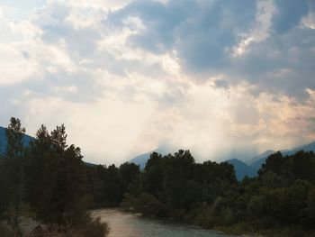 Scenic view of forest against sky