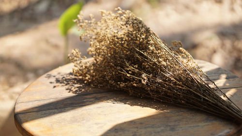 Close-up of bread on wooden table