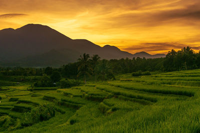 Indonesia's extraordinary natural scenery. sunrise view with the light of the sun rising 