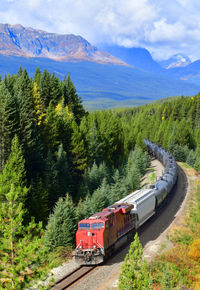 Long freight train moving along in banff national park, canadian rockies ,canada.