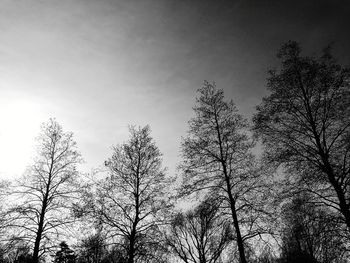 Low angle view of bare trees against sky