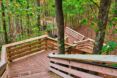 View of bench in forest