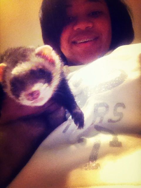 A ferret! <3