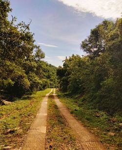 Road amidst trees against sky