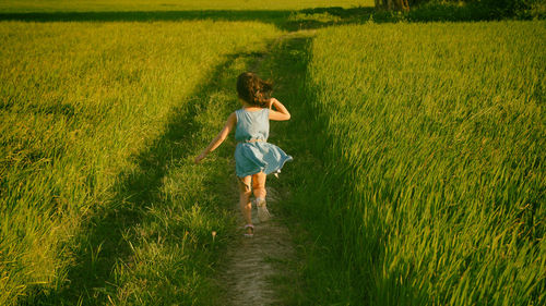 High angle view of boy in grass