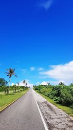 Road amidst plants and trees against sky