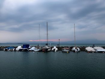 Sailboats moored in harbor against sky