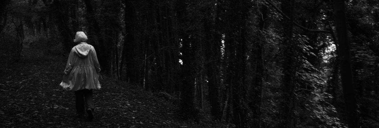 REAR VIEW OF WOMAN STANDING ON FOREST