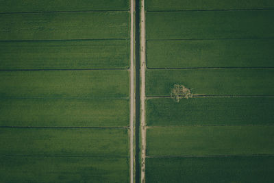 Full frame shot of textured wall