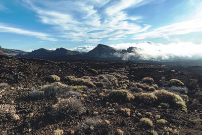 Scenic view of land and mountains against sky