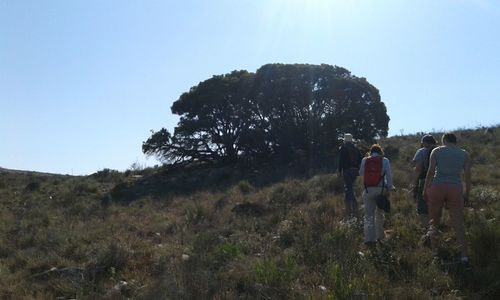 Rear view of people walking on mountain against sky