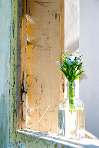 Close-up of flowers in vase