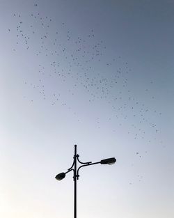 Low angle view of silhouette birds flying against clear sky