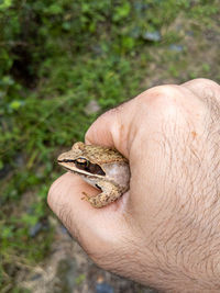 Close-up of man holding hand