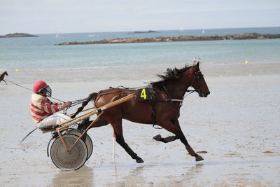 Horse racing on beach