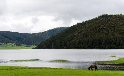 Scenic view of lake against sky