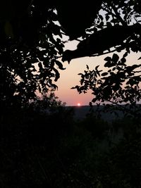 Silhouette trees against sky at sunset