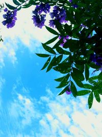 Low angle view of flowering plant against blue sky