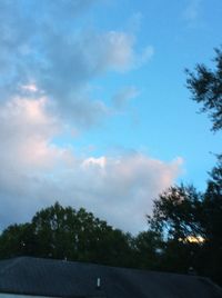 Trees on landscape against cloudy sky