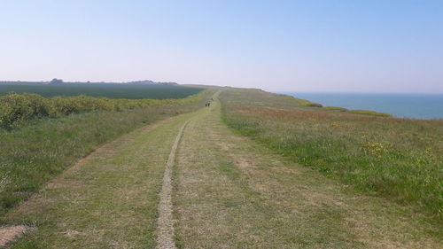 Scenic view of landscape against clear sky