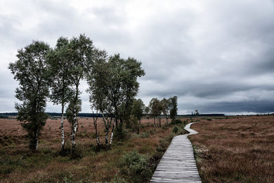 Wooden path in eifel nature park hohes venn.