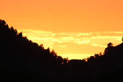 Silhouette trees against dramatic sky during sunset