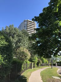 Footpath amidst trees and buildings against sky