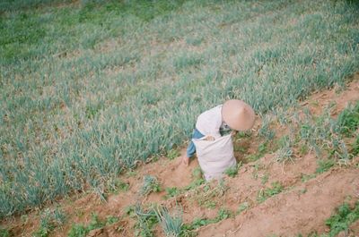 Print this photo to remind us what farmer did to full fill our cooking needs