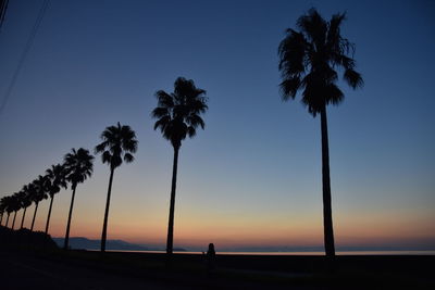 Silhouette palm trees against sky during sunset