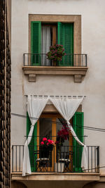 Potted plants on balcony against building