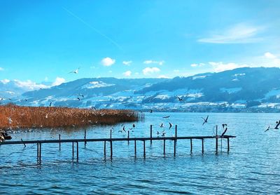 Scenic view of lake by snowcapped mountains against blue sky