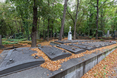 View of cemetery in park