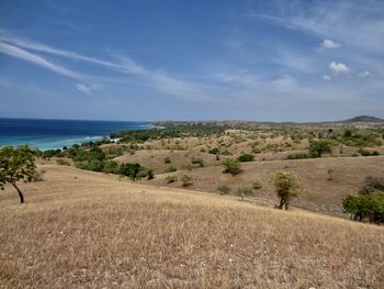 Scenic view of landscape and sea against sky