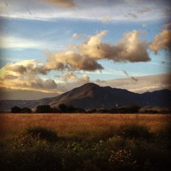 Scenic view of landscape against cloudy sky