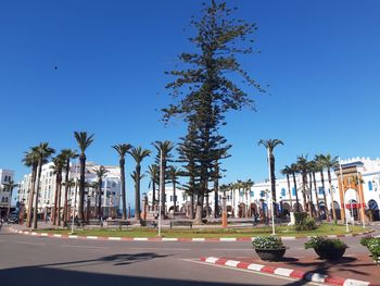 Palm trees on street against clear blue sky
