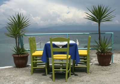 Potted plants on table by sea against sky