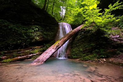 Scenic view of waterfall in forest