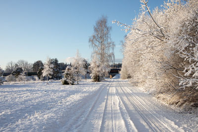 A beautiful winter day landscape of a gravel road near the forest. snow covered scenery.