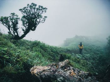 Rear view of man on tree by mountain against sky