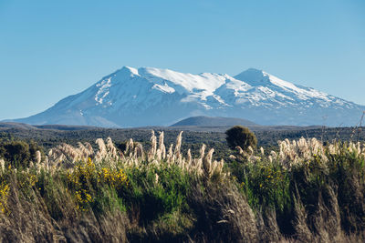 Scenic view of mountains against clear blue sky