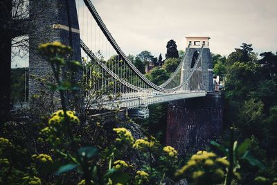 View of suspension bridge