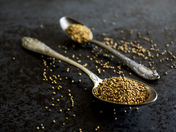 Close-up of mustard seeds in spoon