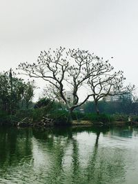 Scenic view of calm lake against clear sky