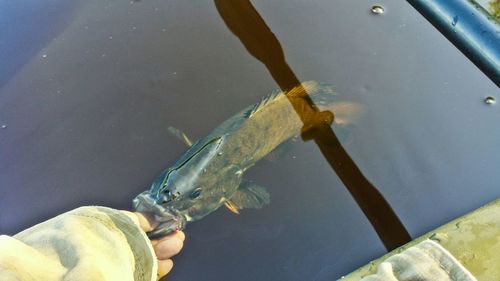 Close up of water