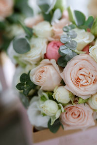 Close-up of roses