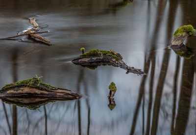 Close-up of bricks in the water